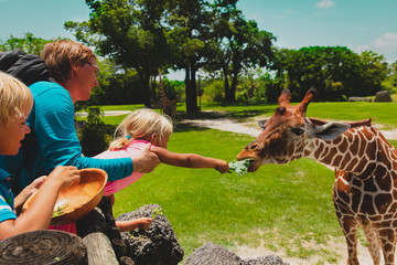 Zoo Soundscape cover
