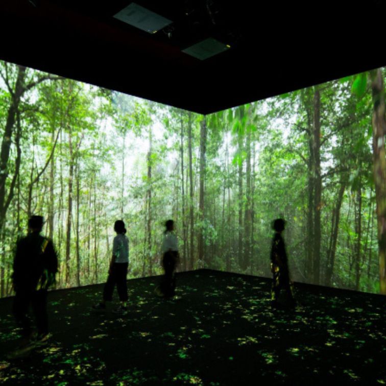 Spatial soundfield applied to immersive installation concept